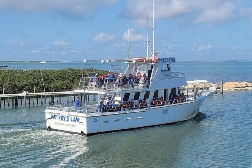 Headed Out of a Dolphin Watch & Eco Tour. 3