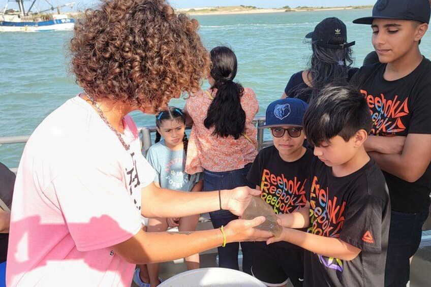Eco Catch Presentation. 5