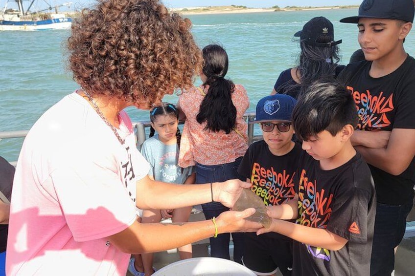 Eco Catch Presentation. 4