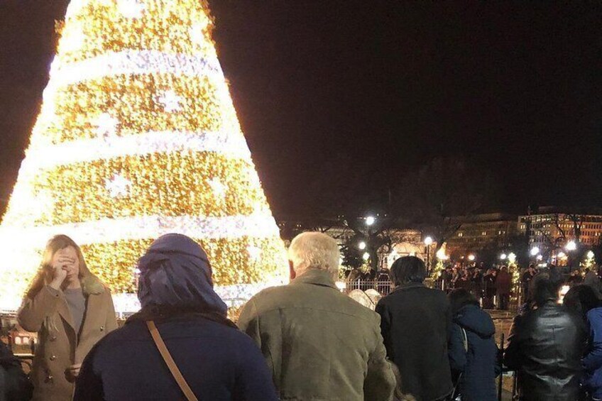 Festival Of Lights Night Tour 2