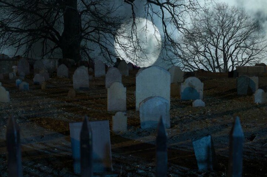 Un cementerio con lápidas y un árbol grande al fondo. 3