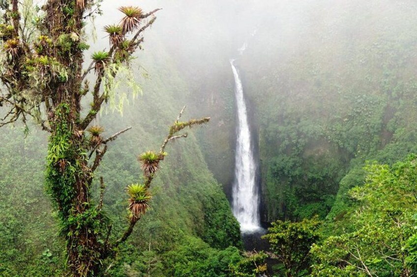 Nature-Adventure tour from San Jose 1