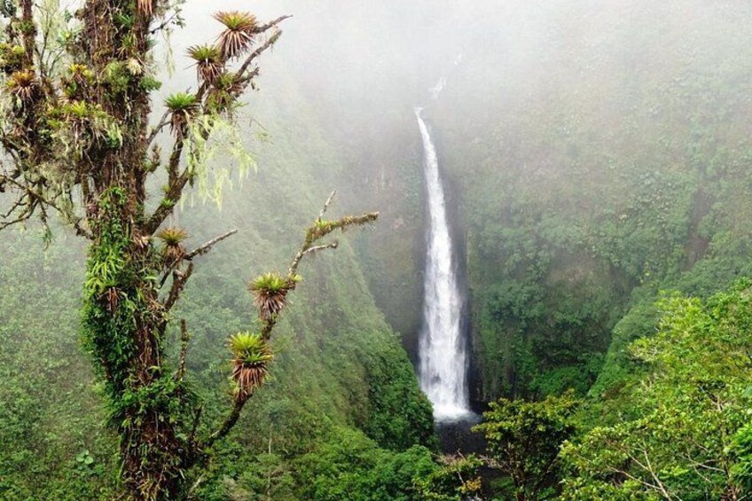 Nature-Adventure tour from San Jose 1