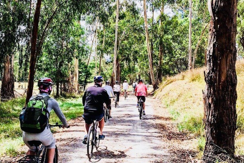 Enjoying the Warburton Rail Trail. 4