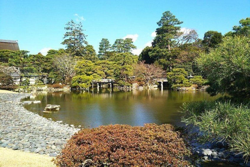 A tranquil pond surrounded by lush greenery and a stone path. 3