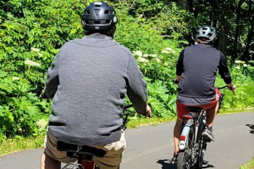 EBIKE - Wilderness Trails of Anchorage 3