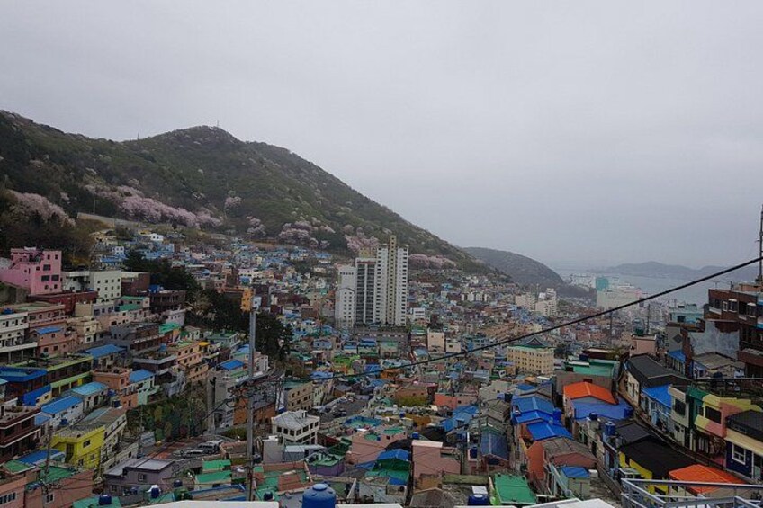 A densely packed urban area with colorful buildings, a prominent high-rise, and a hilly backdrop. 4