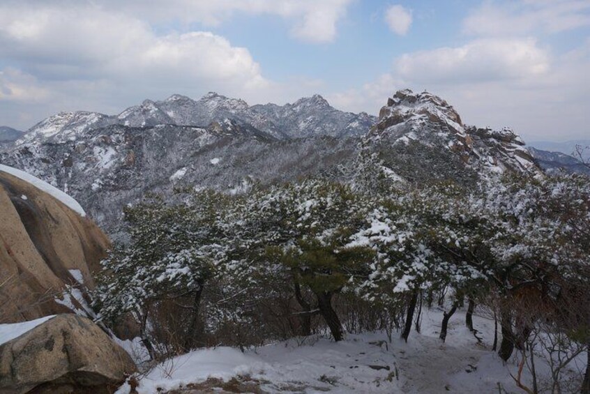 Private Bukhansan Hiking (More Members, Less Cost per Person)