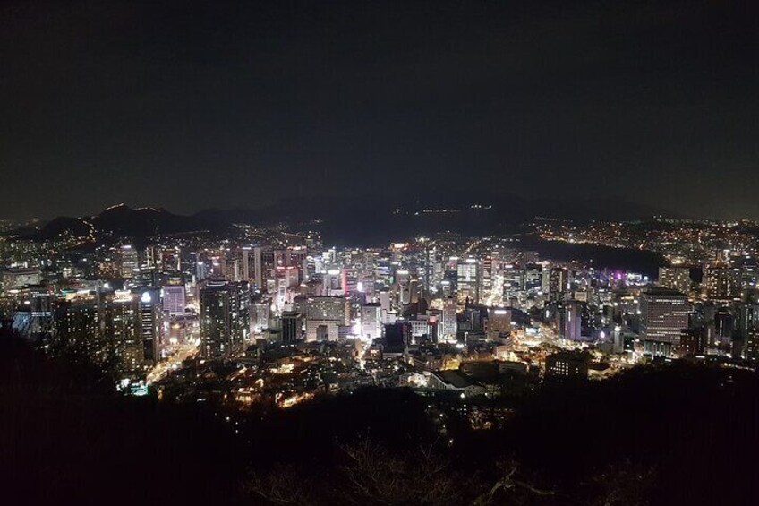 Seoul Night "Private Tour"(Korean BBQ, N-Tower, Seoul Fortress, Local Market)