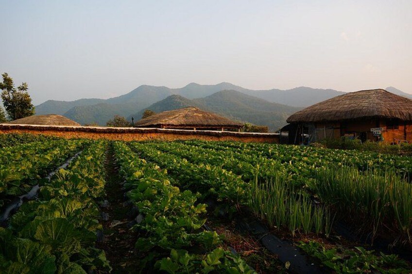 A field of crops, a thatched-roof building, and mountains in the background. 5