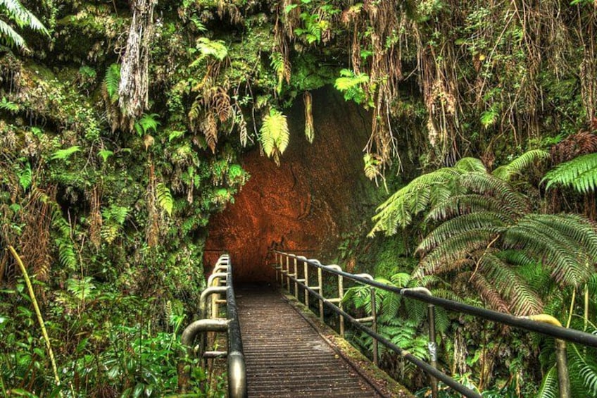 Prepare yourself to go into the Thurston Lava Tube 4