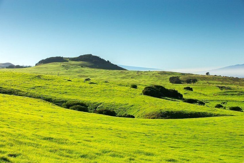 Majestic views at the Kohala Mountain road 4