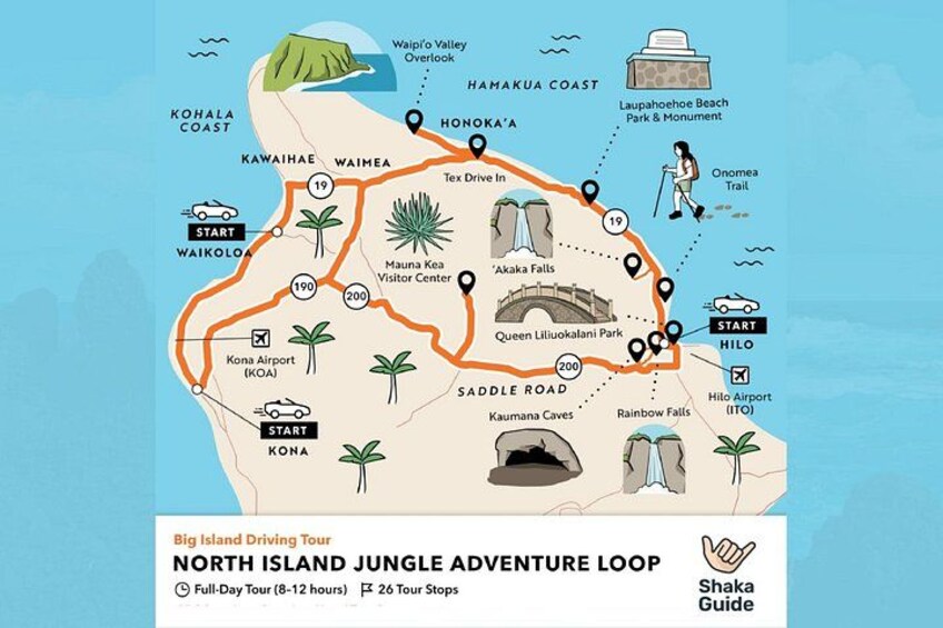 North Jungle 2
