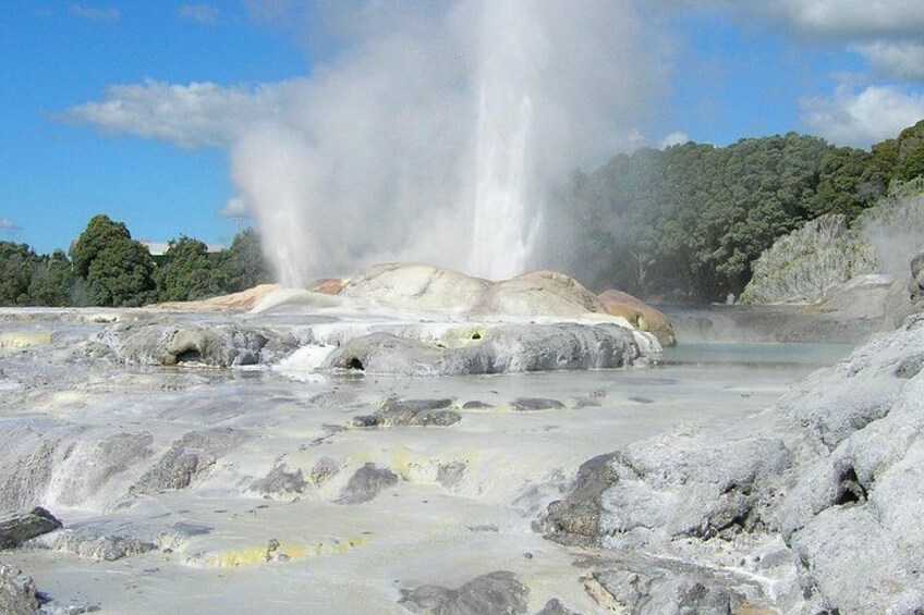 A geothermal area with a prominent geyser, rocky terrain, and a forested background. 1