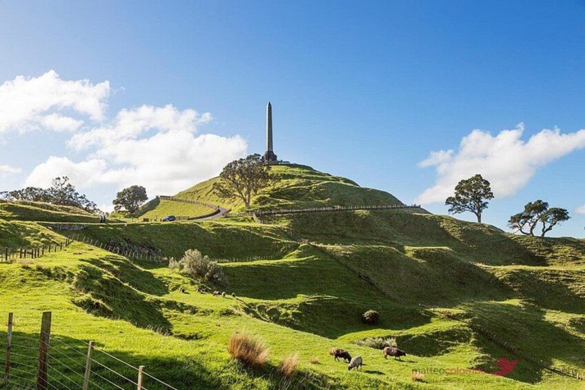 Private Tour: Auckland City and Countryside Tour 4