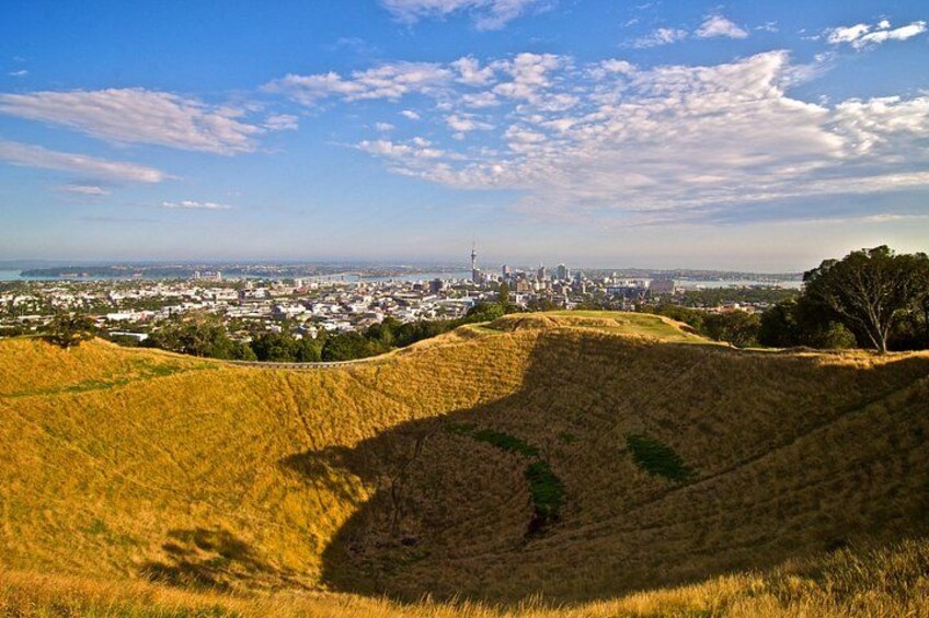 Private Tour: Auckland City and Countryside Tour 2