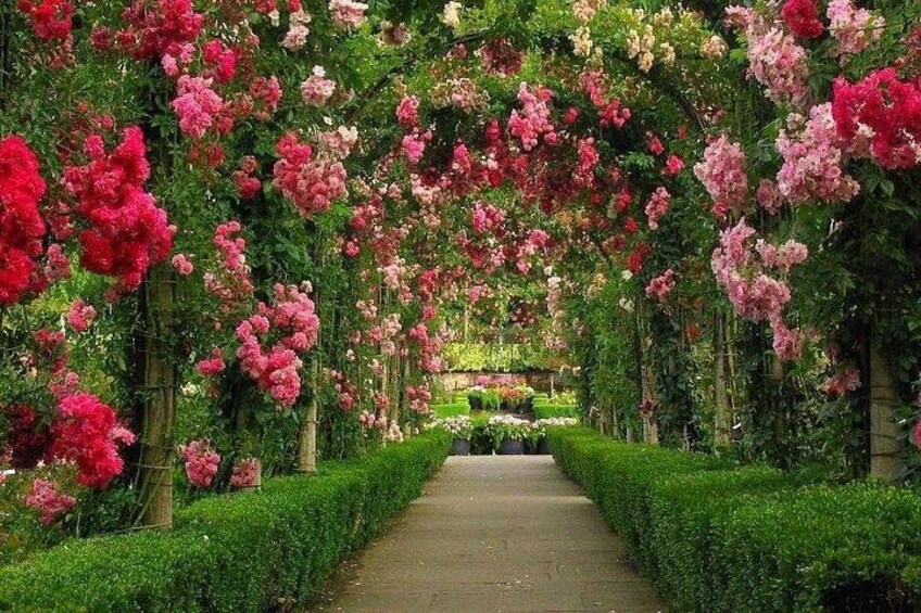 Private Tour: Auckland City and Countryside Tour 3
