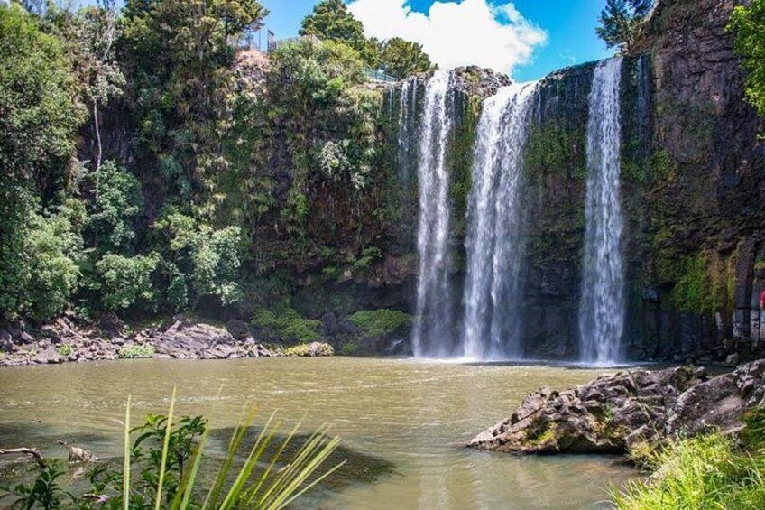 Whangarei Falls 3