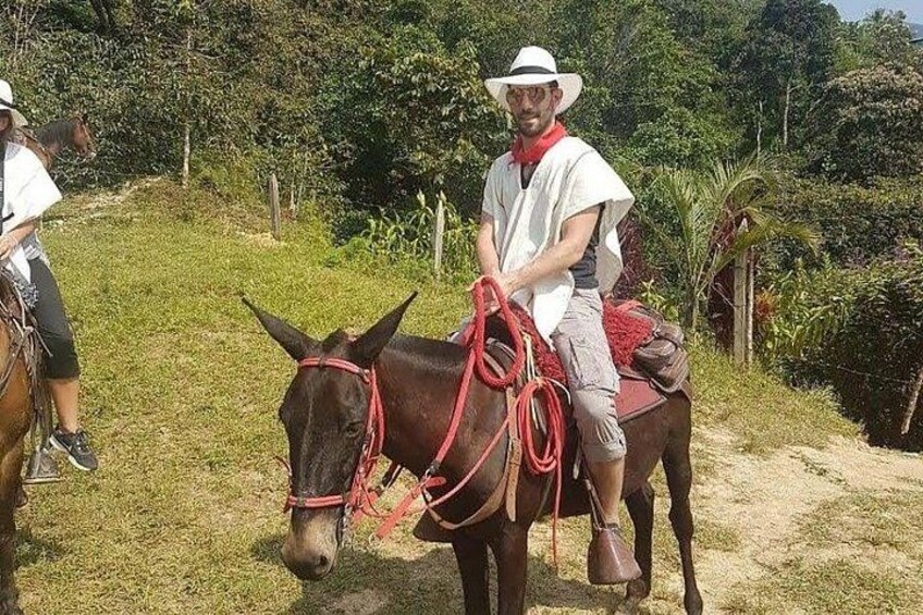 En person rider på et æsel ad en støvet sti med grønt i baggrunden. 4