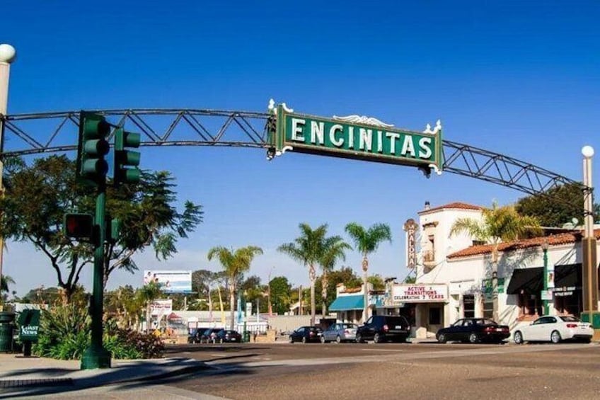 Encinitas Food Tour 2