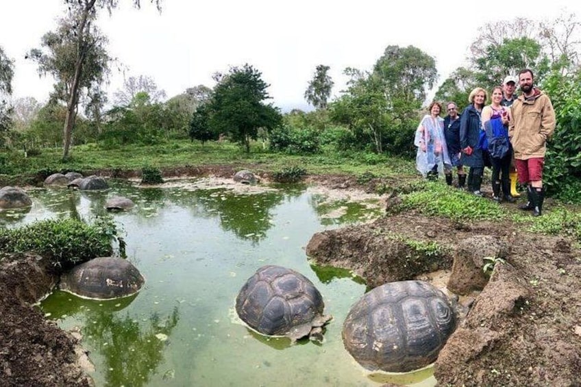 En gruppe mennesker står ved en sø med skildpadder. 1