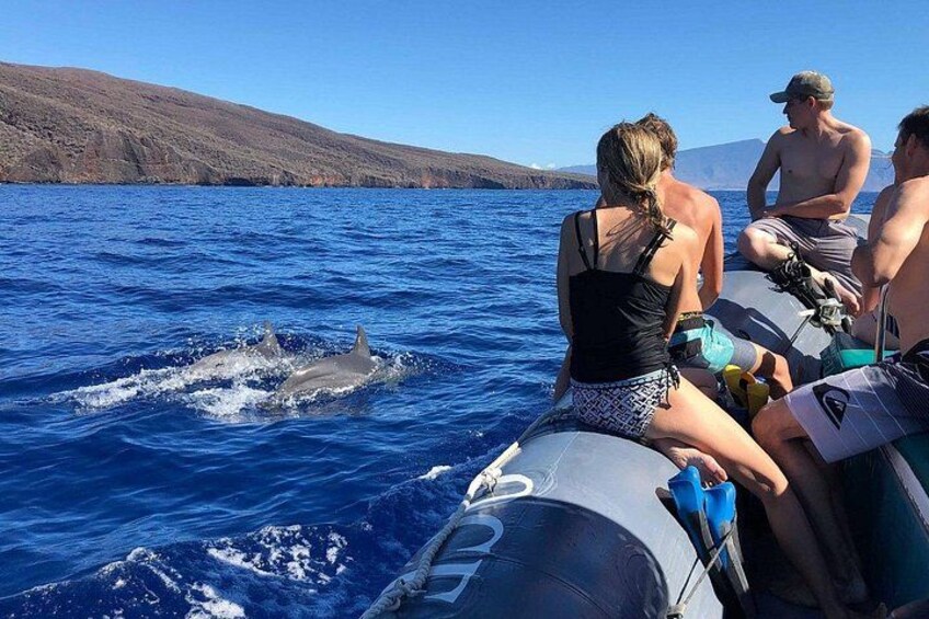 A boat with people observing dolphins in the ocean. 2