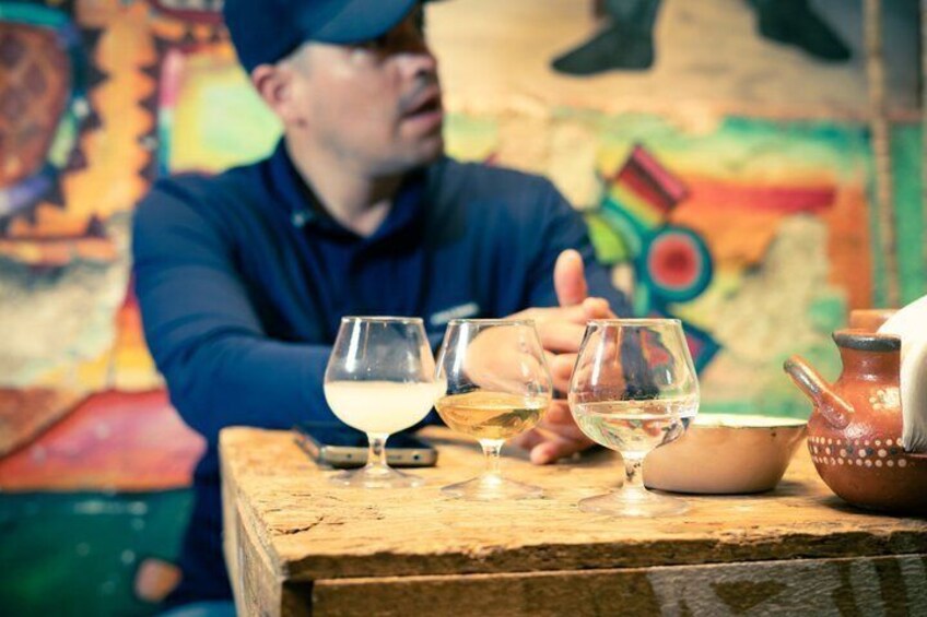 Agave drinks of Jalisco: Tasting of Pulque, Raicilla and Mezcal 1
