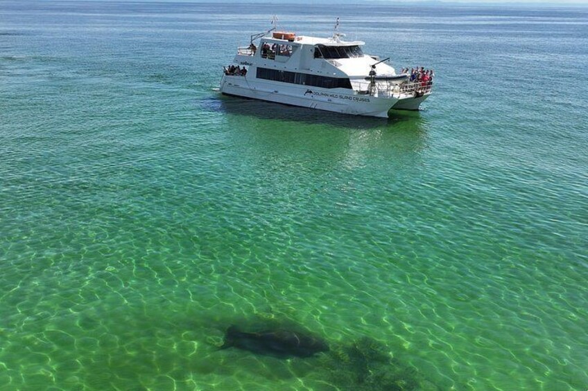 A white boat with passengers on a clear blue sea. 2