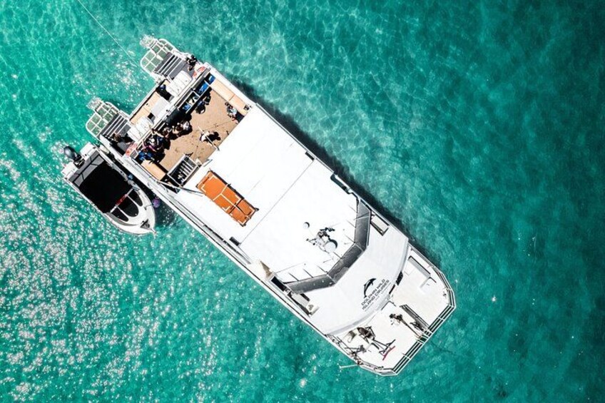 Supercat anchored near the wrecks 4