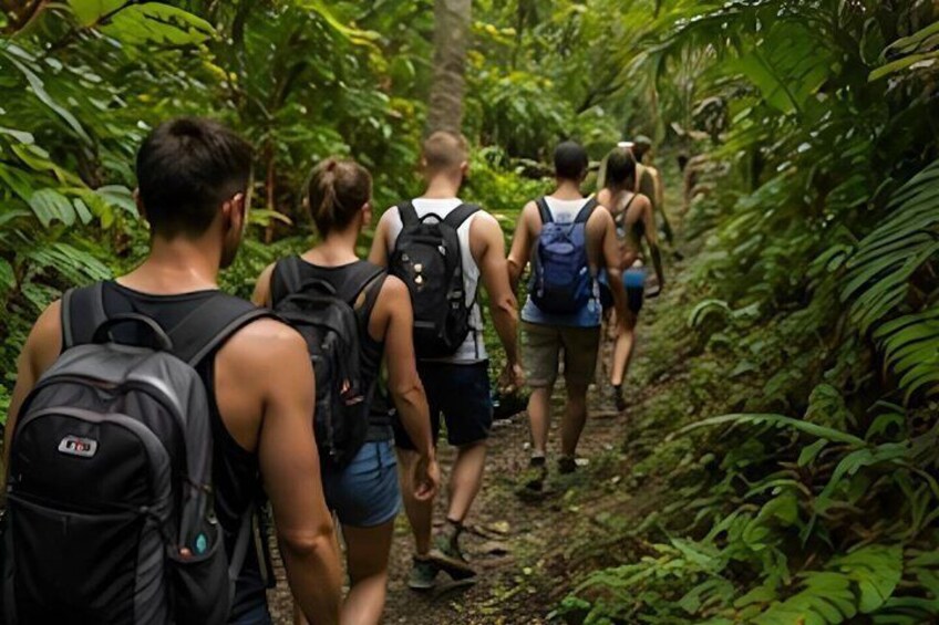 Epic Waterfall Adventure, the Best of Maui 5