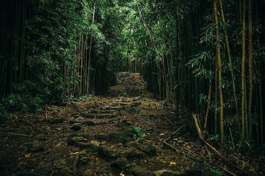 Epic Waterfall Adventure, the Best of Maui 2