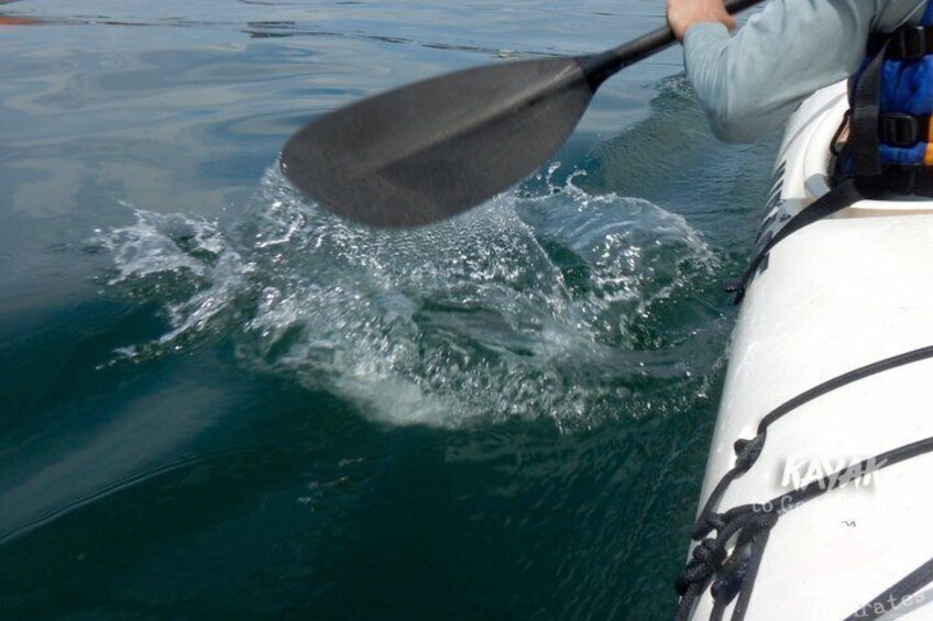 Eine Person paddelt in einem Kajak auf dem Wasser. 3