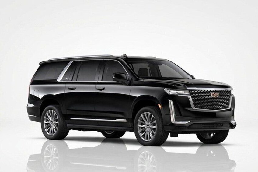 Private Niagara Falls Tour in a SUV 5