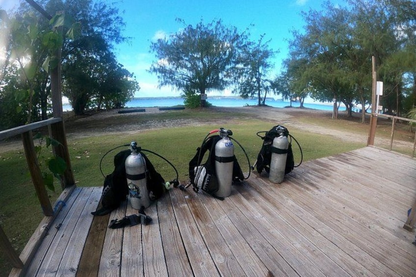 Experience Scuba Diving - No Certification Needed! 4