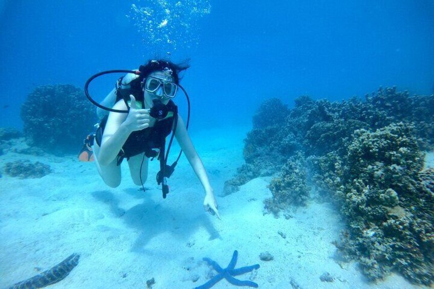 Experience Scuba Diving - Explore a whole new world! 1