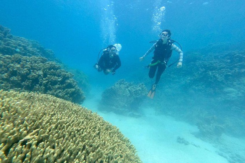 Experience Scuba Diving - No Certification Needed! 3