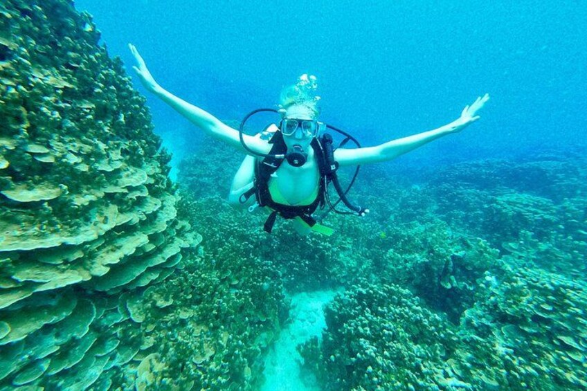 Experience Scuba Diving - No Certification Needed! 2