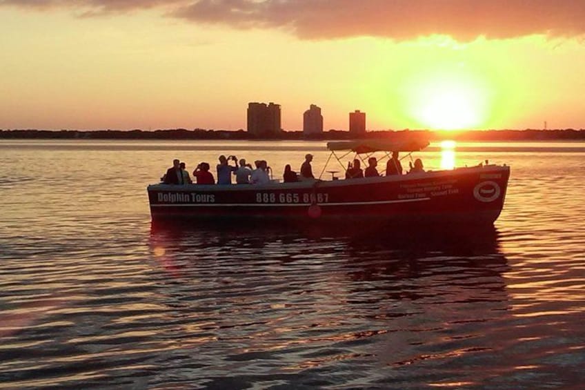 1.5-hour Dolphin Sightseeing Cruise from Tampa 2