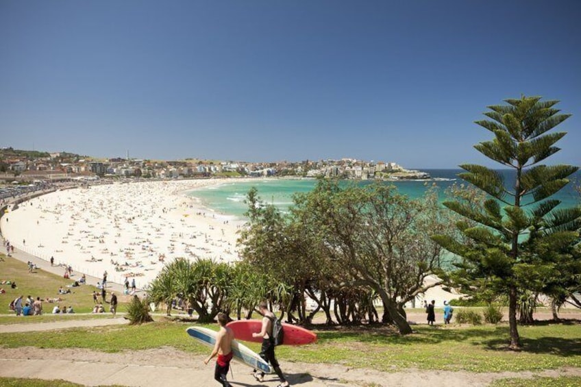 Sydney City Highlights & Hidden Gems: Private or Small Group Tour 4