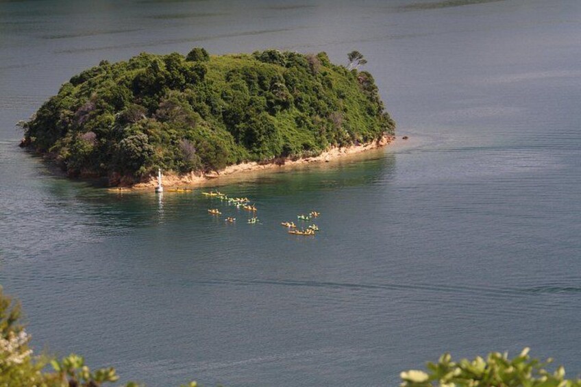 A small island with dense green vegetation surrounded by calm water. 5