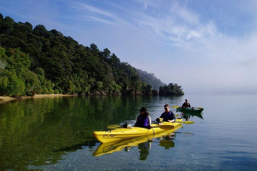 Half day Sea Kayak Guided Tour from Picton 3