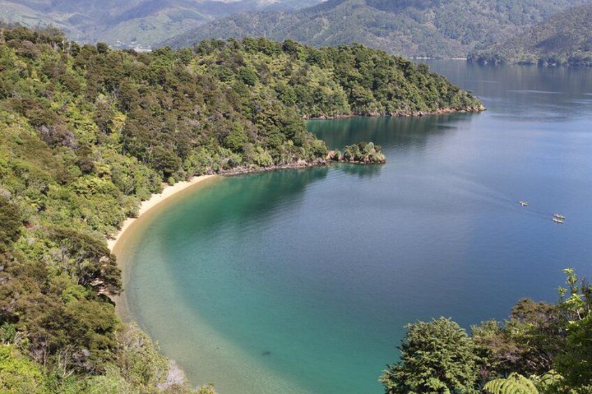 A coastal landscape with a curved shoreline, dense green forest, and calm blue waters. 2