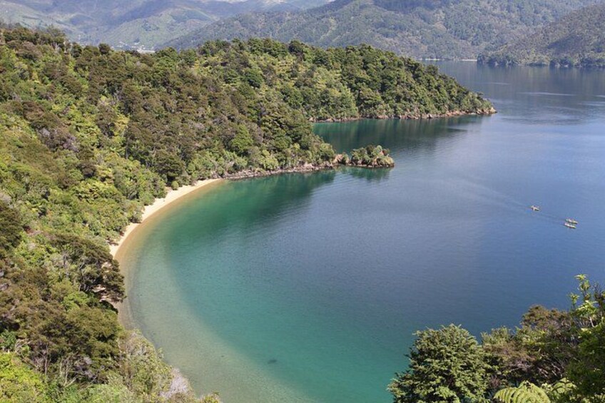 Half day Sea Kayak Guided Tour from Picton 2