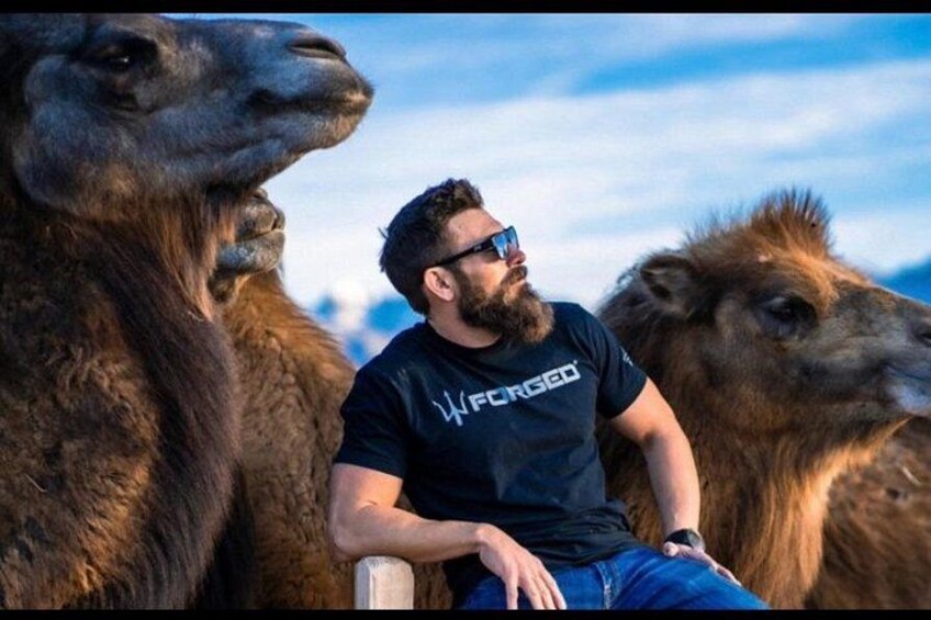 Camel Safari Tram Ride and Guided Zoo Tour 5