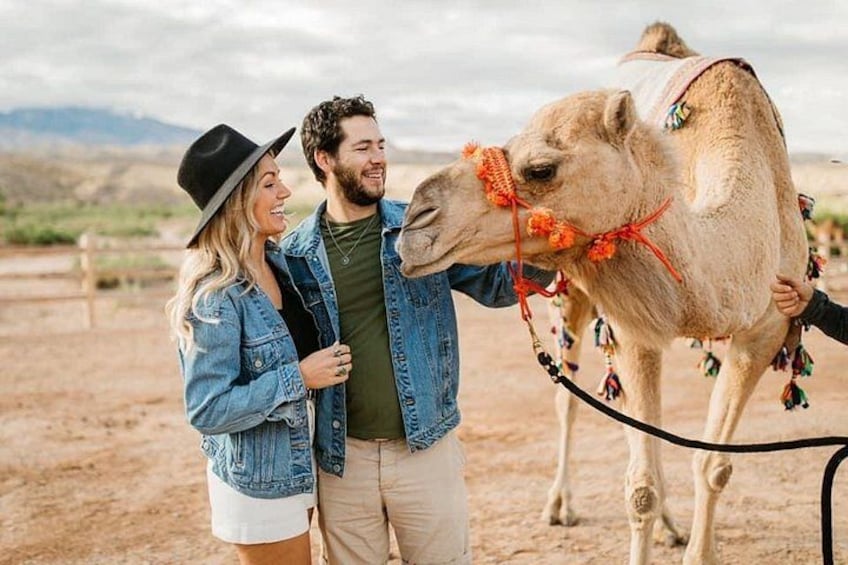 A couple with a camel in a desert setting. 2