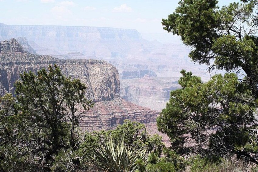 Un paysage de canyon caractérisé par des formations rocheuses imposantes et une végétation clairsemée. 5
