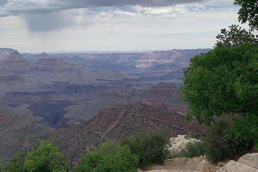 Un paysage de canyon avec des formations rocheuses en strates et un arbre au premier plan. 2