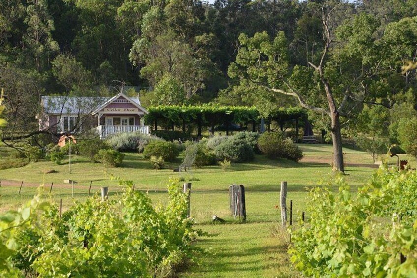 Wine Tours 2