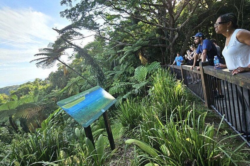 Un groupe de personnes se trouve sur une plateforme d’observation en bois, d’où elles peuvent admirer un paysage luxuriant. Un panneau d’information est également visible. 1