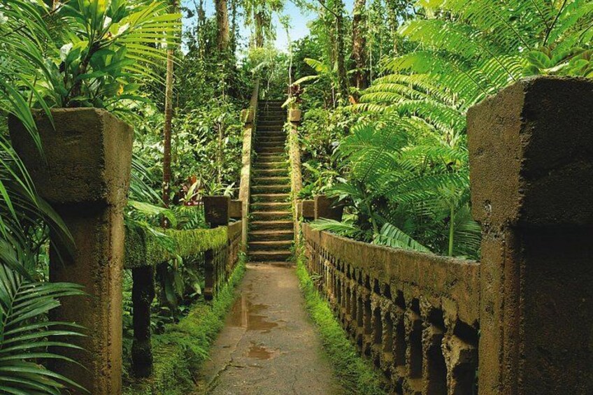 Una escalera de piedra rodeada de abundante follaje. 1